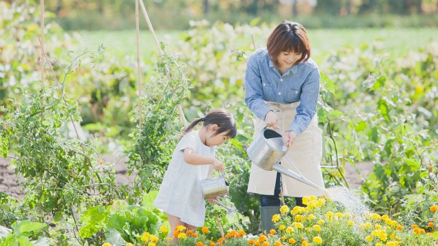 母親の言葉の使い方が、あまりにも激しく将来の格差になっている事実とは? 母親の言葉の使い方が、あまりにも激しく将来の格差になっている事実とは?