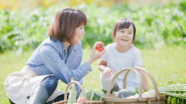 なぜか?農薬が配布された日本の食卓でオーガニックの選択の重要性とは? なぜか?農薬が配布された日本の食卓でオーガニックの選択の重要性とは?