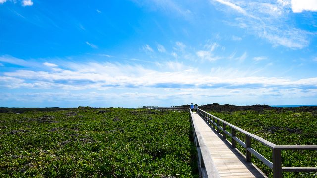 「日常の悟り道」を継続して歩むと人生の道がハイヤーに切り開かれる! 「日常の悟り道」を継続して歩むと人生の道がハイヤーに切り開かれる!