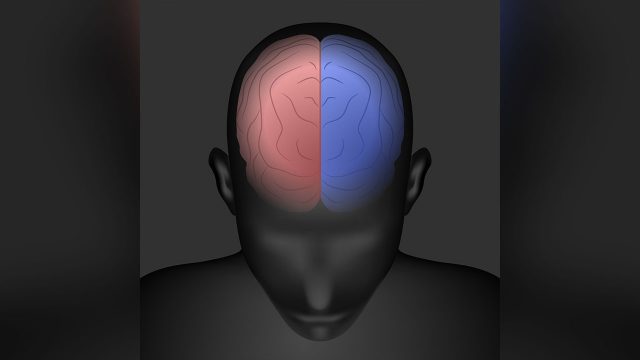 右脳と左脳の働かせ方のコツを得ると人生に大事な恩恵を運んでくれる。 右脳と左脳の働かせ方のコツを得ると人生に大事な恩恵を運んでくれる。