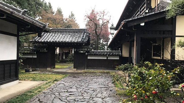 岐阜県・多治見の蔵珍窯で22年ぶりに創作開始~! 岐阜県・多治見の蔵珍窯で22年ぶりに創作開始~!