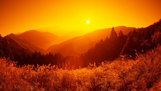 2020年3月22日が大ゴールであると言いきる意味とは? 2020年3月22日が大ゴールであると言いきる意味とは?