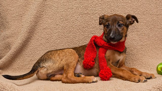 人間世界の因果の法則が10倍になったようです。 人間世界の因果の法則が10倍になったようです。