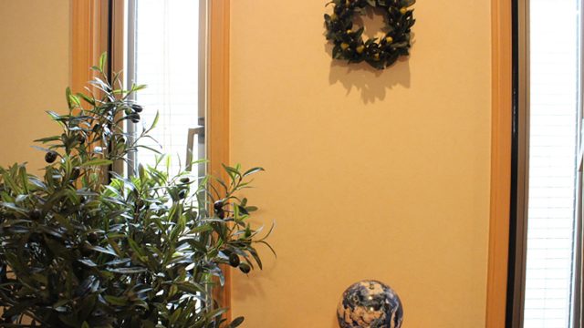 「平和のオリーブ」をライフスタイルにする日がくるなんて!! 「平和のオリーブ」をライフスタイルにする日がくるなんて!!