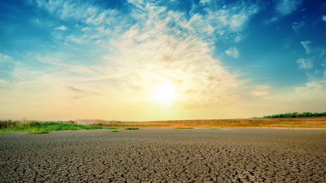 浦島太郎にならないように大地を整えること。 浦島太郎にならないように大地を整えること。