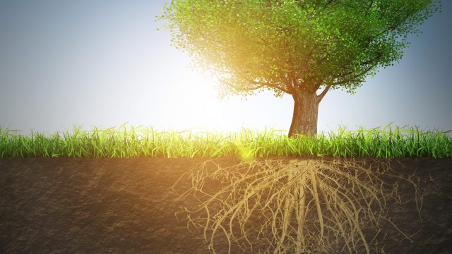 地球意識が目覚めたことで天と地の作業が加速します! 地球意識が目覚めたことで天と地の作業が加速します!