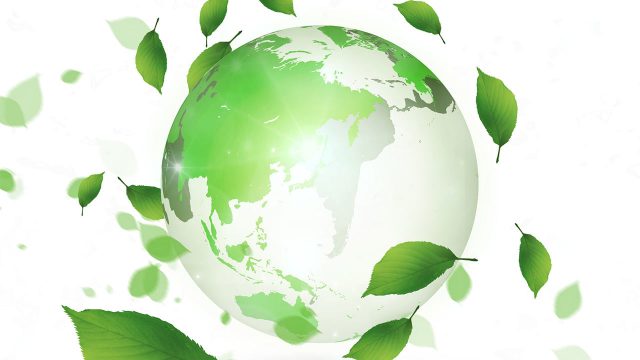 「地球の生命」を守るために「草の根運動」を開始します! 「地球の生命」を守るために「草の根運動」を開始します!