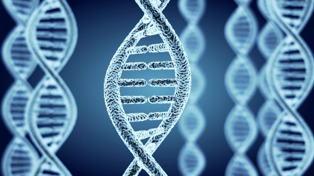 YAP遺伝子もつ高度な生命体・日本人の本領を発揮する時代! YAP遺伝子もつ高度な生命体・日本人の本領を発揮する時代!