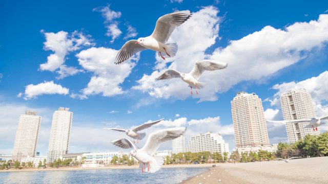 地球の3回目のアセンションの大ゴールのテープをきるためには、魂の準備が必要!! 地球の3回目のアセンションの大ゴールのテープをきるためには、魂の準備が必要!!