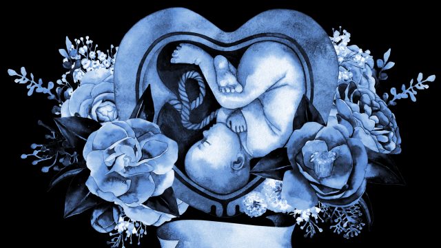 古代アトランティス文明時代を起源に、母親の子宮に来た!? 古代アトランティス文明時代を起源に、母親の子宮に来た!?