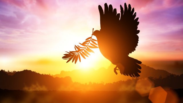 地球でアセンションするということは「自他共に幸せ」になること。 地球でアセンションするということは「自他共に幸せ」になること。