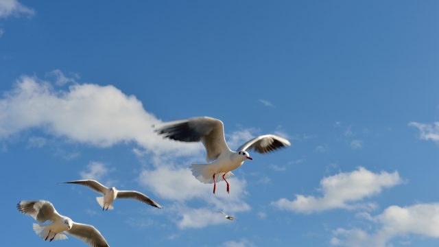 人間が輝きにくい時代に、真理を掴んでいる人達の大事さ。 人間が輝きにくい時代に、真理を掴んでいる人達の大事さ。