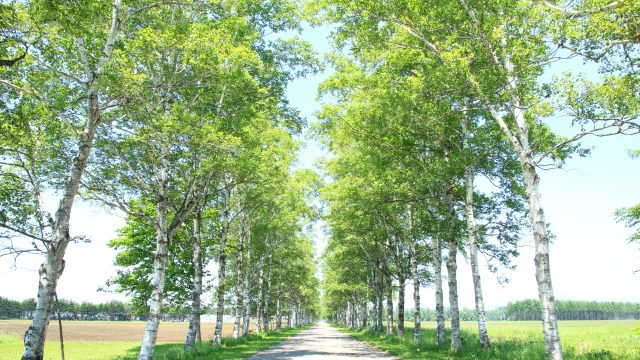 「自宅を守る」ためにも、危機管理能力をつけよう。 「自宅を守る」ためにも、危機管理能力をつけよう。