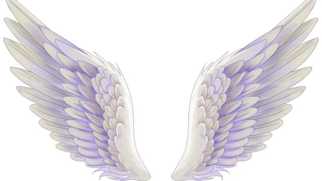 「日常」を過ごせる「恩恵」に、有難う、有難う。 「日常」を過ごせる「恩恵」に、有難う、有難う。