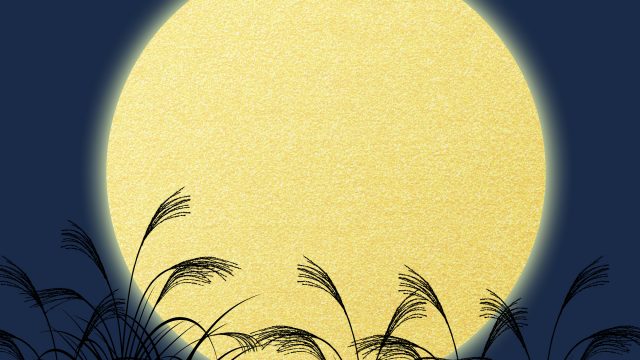 満月の自分の願いは儚くも散り、自分を見つめる月光は輝くだろう。 満月の自分の願いは儚くも散り、自分を見つめる月光は輝くだろう。